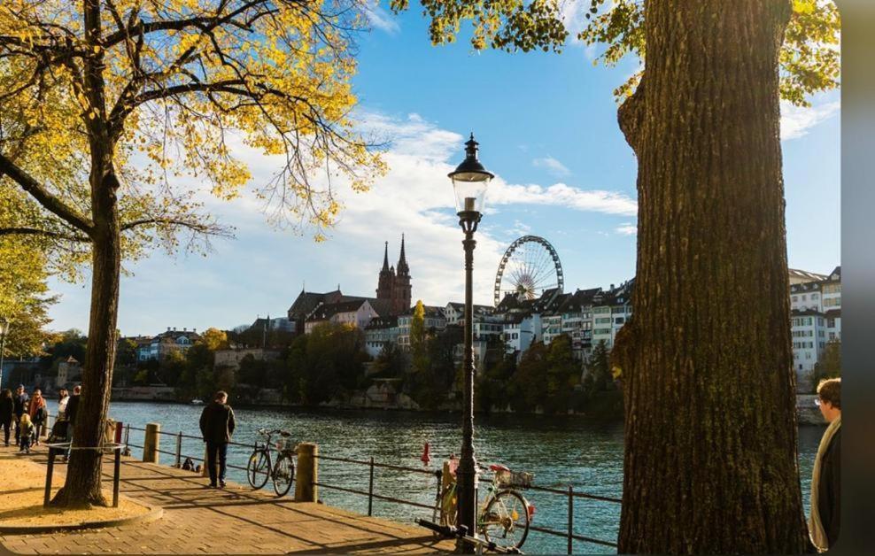 Апартаменты Schweiz Базель Экстерьер фото
